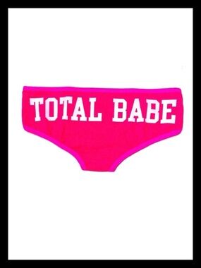 💕ⓅⒾⓃⓀ ⓋⓈ RARE/HTF “TOTAL FOX TOTAL BABE” Extra Low Rise Hipster Panties ✨NWT💕